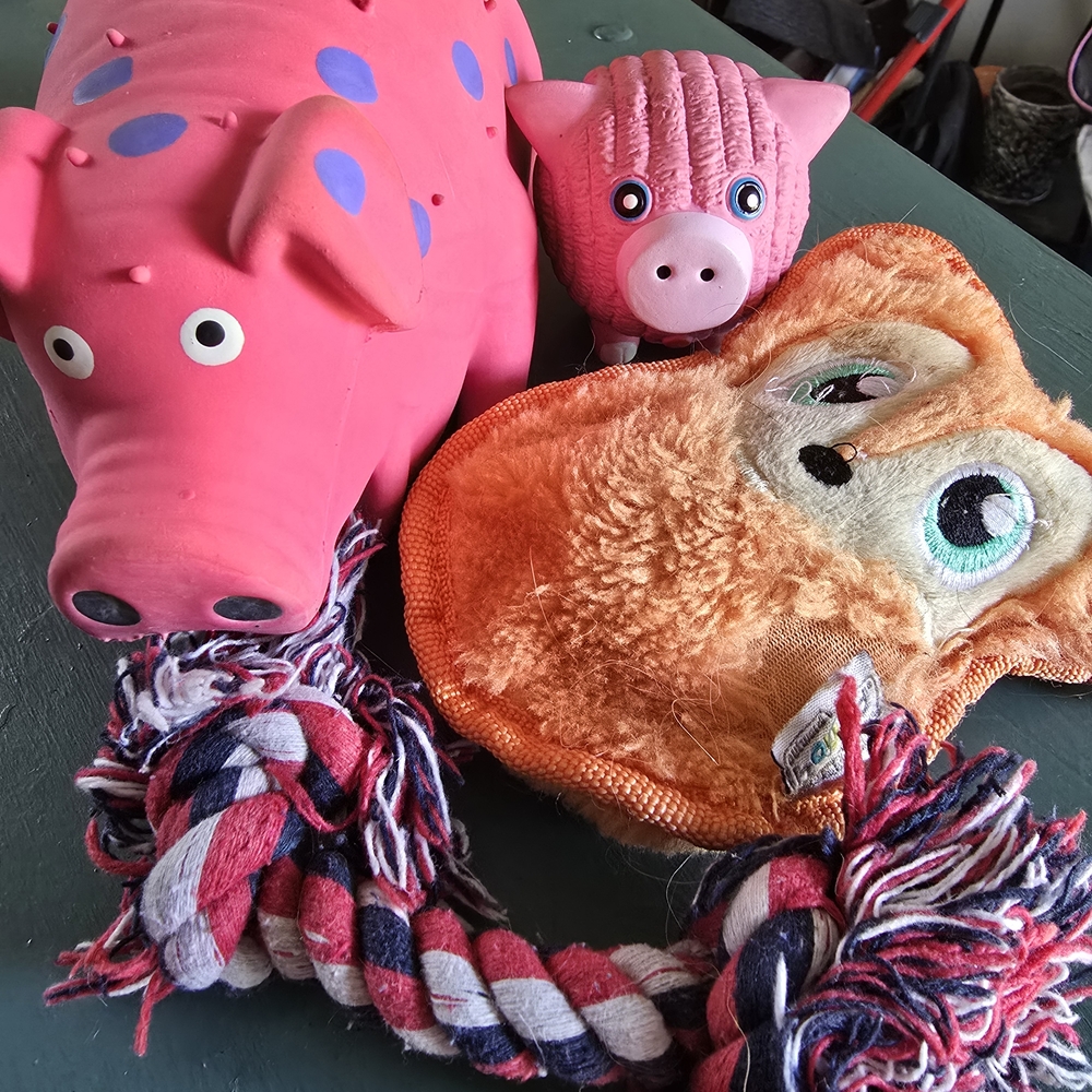 Pink Piggy Play Set for Dogs